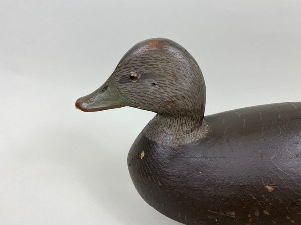 Harold Wilkins Black Duck Original Paint Solid Body (#7155)