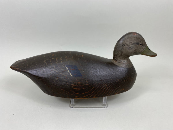 Harold Wilkins Black Duck Original Paint Solid Body (#7155)