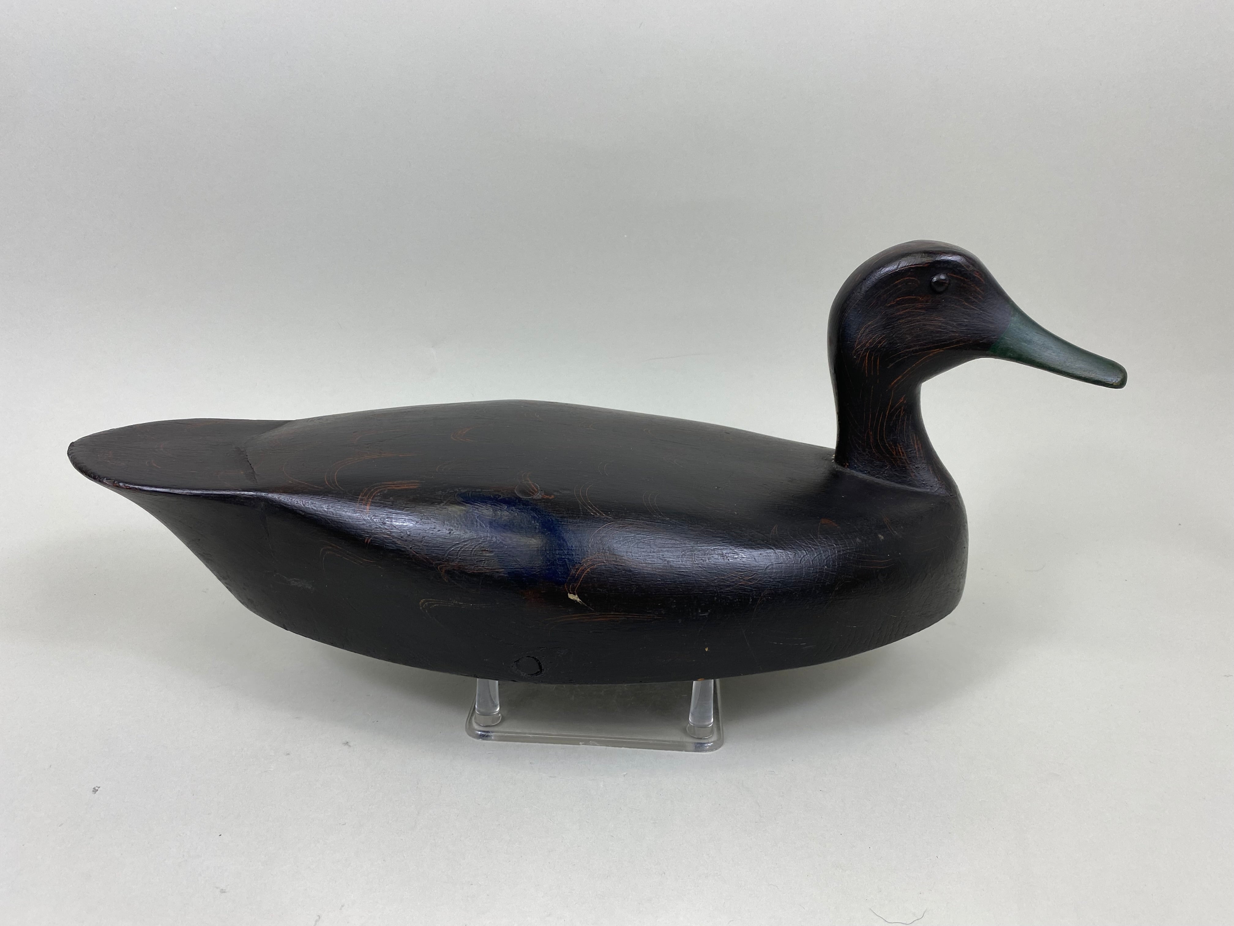 Ginger Waymarch Black Duck 7157 Muddy Water Decoys ginger-waymarch-black-duck-7157-muddy-water-decoys