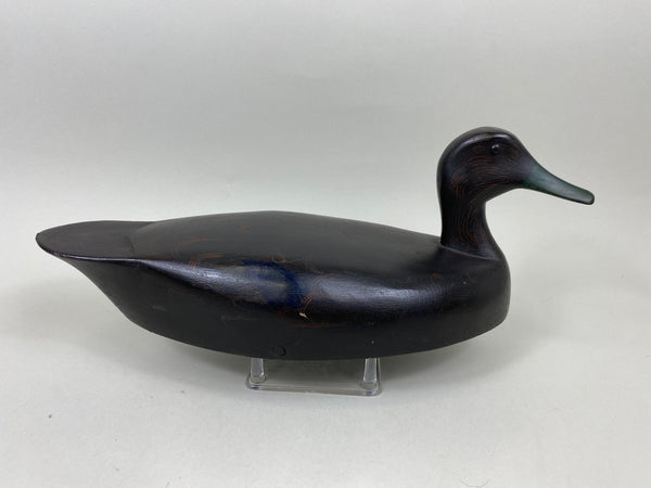 Ginger Waymarch Black Duck (#7157)