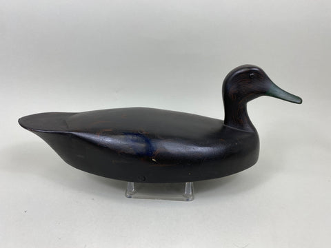 Ginger Waymarch Black Duck (#7157)