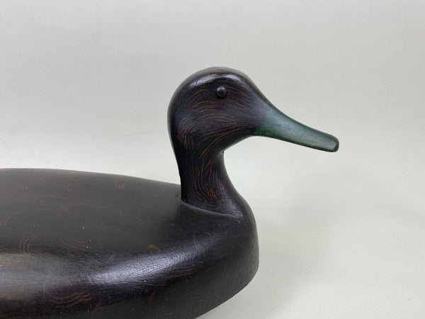 Ginger Waymarch Black Duck (#7157)