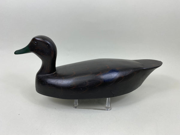Ginger Waymarch Black Duck (#7157)
