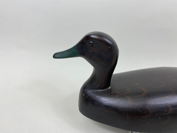 Ginger Waymarch Black Duck (#7157)