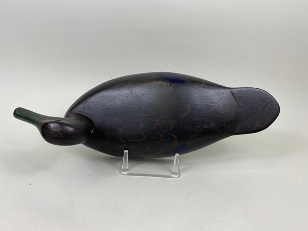 Ginger Waymarch Black Duck (#7157)