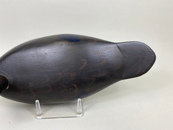 Ginger Waymarch Black Duck (#7157)