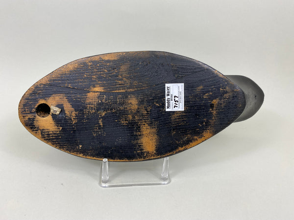 Ginger Waymarch Black Duck (#7157)