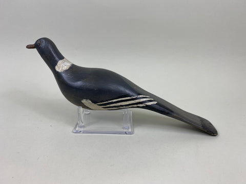 Unknown Pigeon, Circa 1940's (#7162)