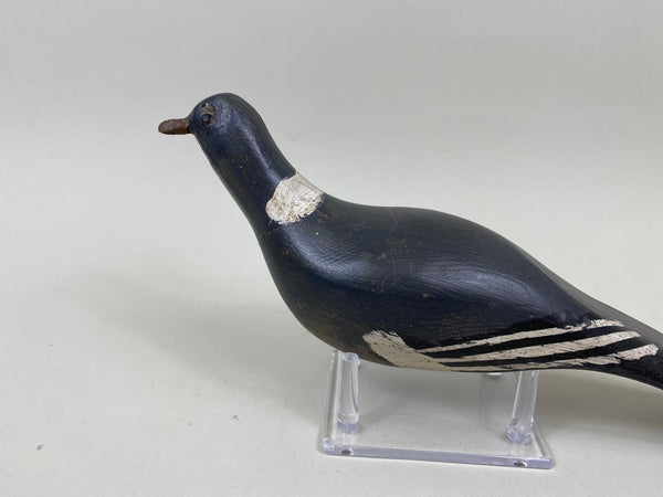Unknown Pigeon, Circa 1940's (#7162)