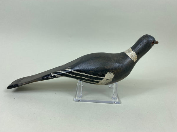 Unknown Pigeon, Circa 1940's (#7162)