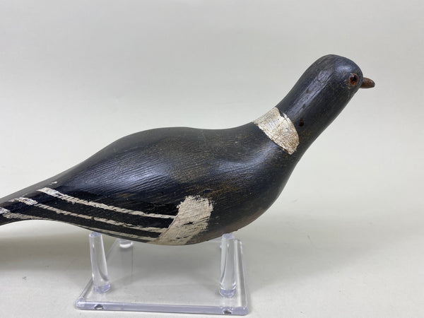 Unknown Pigeon, Circa 1940's (#7162)