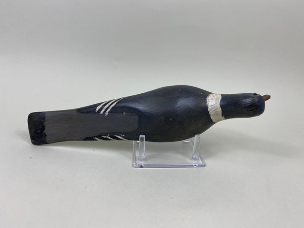 Unknown Pigeon, Circa 1940's (#7162)