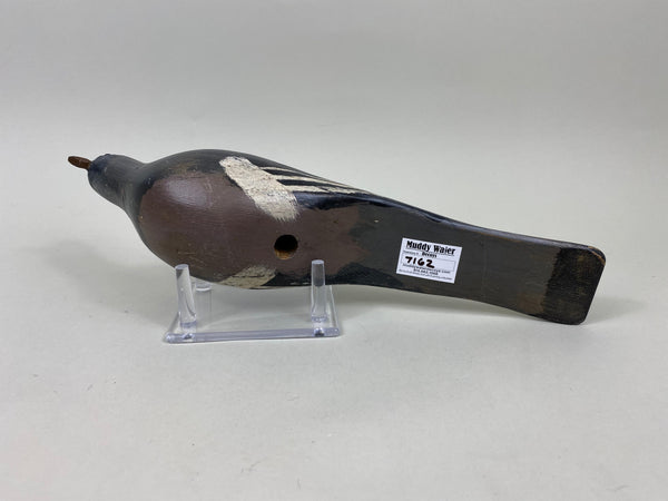 Unknown Pigeon, Circa 1940's (#7162)