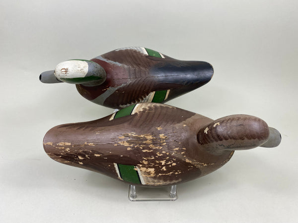 Capt. Harry Jobes Widgeon Pair (#7170)