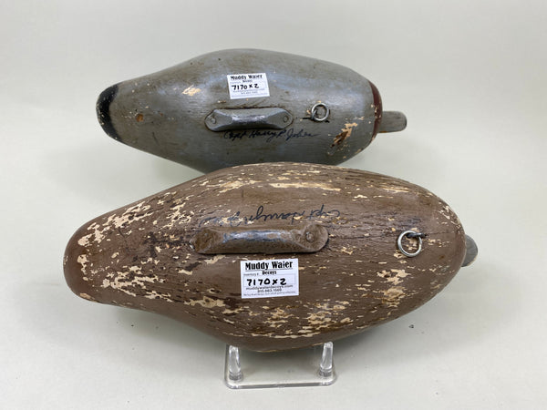 Capt. Harry Jobes Widgeon Pair (#7170)