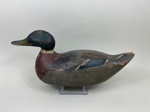 Mason Premier Grade Mallard Drake Original Paint (#7171)