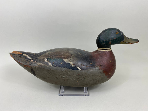 Mason Premier Grade Mallard Drake Original Paint (#7171)
