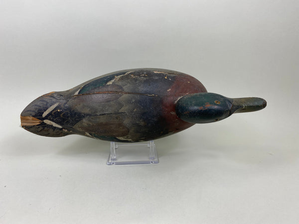 Mason Premier Grade Mallard Drake Original Paint (#7171)