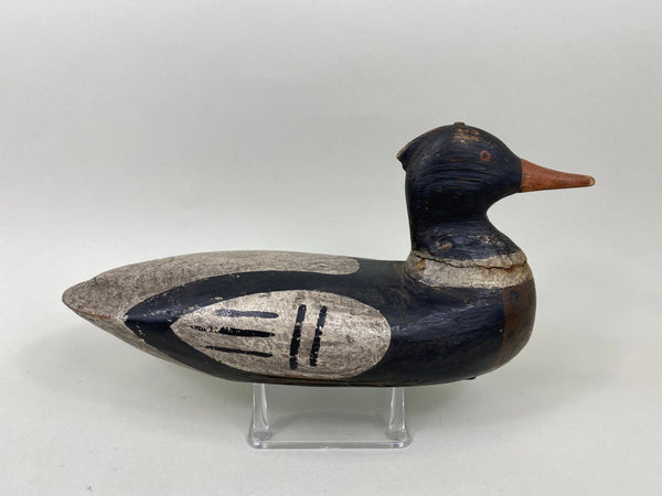 Peachie Perrine Merganser, Circa 1900 (#7174)
