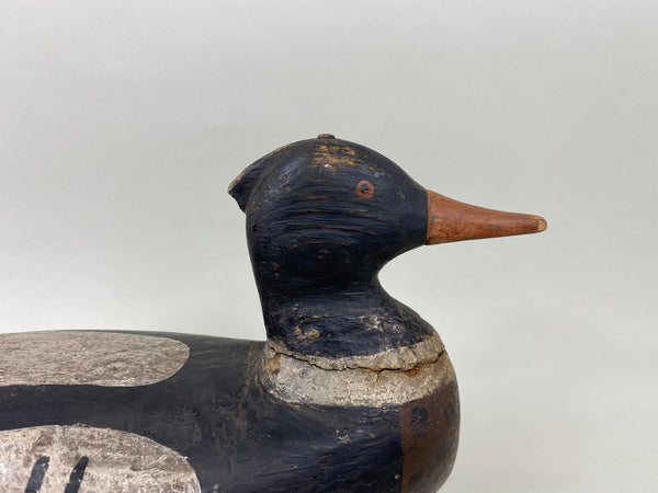 Peachie Perrine Merganser, Circa 1900 (#7174)