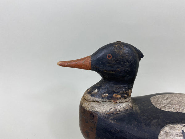 Peachie Perrine Merganser, Circa 1900 (#7174)