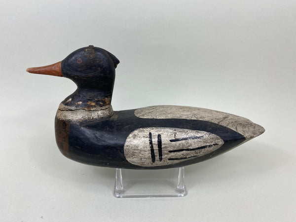 Peachie Perrine Merganser, Circa 1900 (#7174)