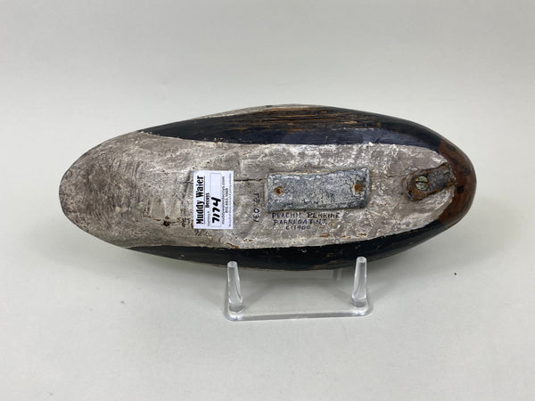 Peachie Perrine Merganser, Circa 1900 (#7174)