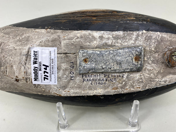 Peachie Perrine Merganser, Circa 1900 (#7174)