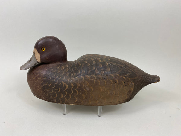 Harry Ross Blue Bill Hen, 1949 International Decoy Carver Champ (#7175)