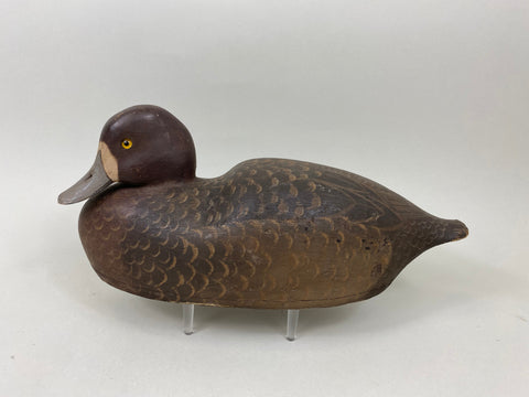 Harry Ross Blue Bill Hen, 1949 International Decoy Carver Champ (#7175)