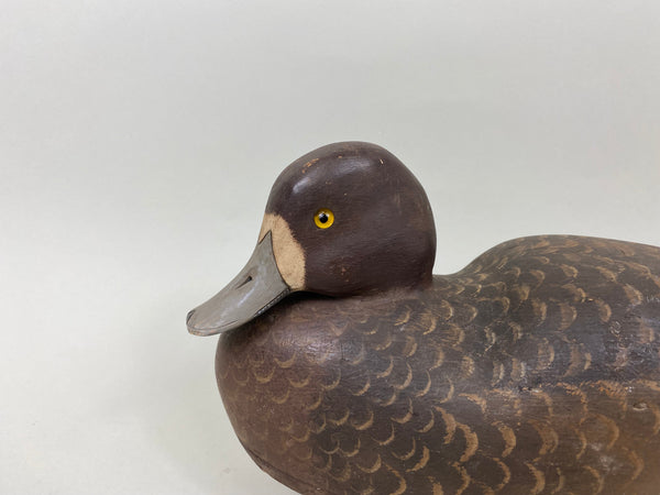 Harry Ross Blue Bill Hen, 1949 International Decoy Carver Champ (#7175)