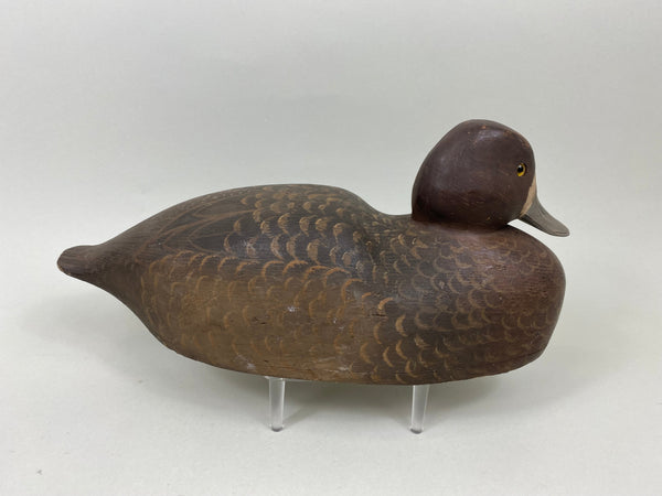 Harry Ross Blue Bill Hen, 1949 International Decoy Carver Champ (#7175)