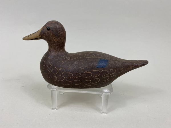 Paul Doering Third Size Black Duck (#7178)