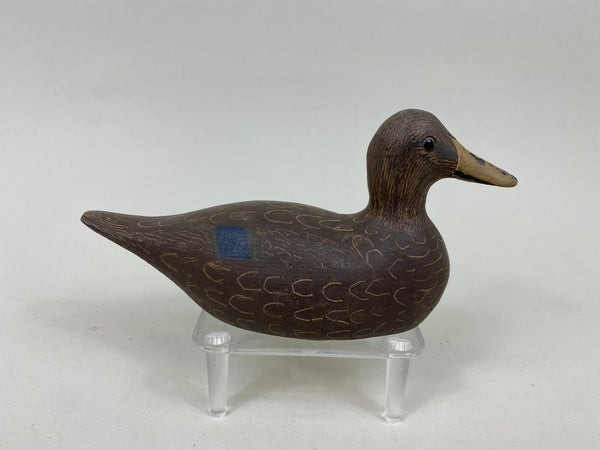Paul Doering Third Size Black Duck (#7178)