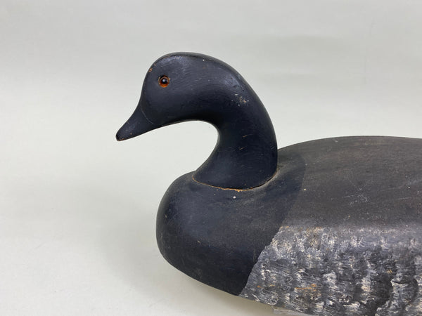 Wildfowler Brant, Point Pleasant (#7190)