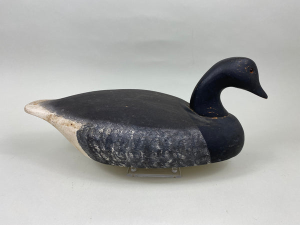 Wildfowler Brant, Point Pleasant (#7190)