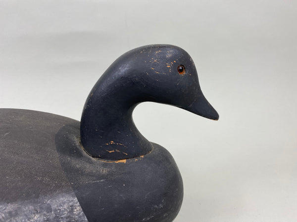 Wildfowler Brant, Point Pleasant (#7190)