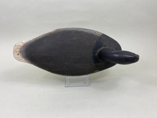 Wildfowler Brant, Point Pleasant (#7190)