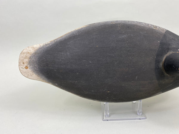 Wildfowler Brant, Point Pleasant (#7190)