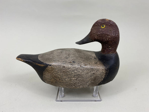 Unknown Wisconsin Redhead Preener, Circa 1930's (#7193)