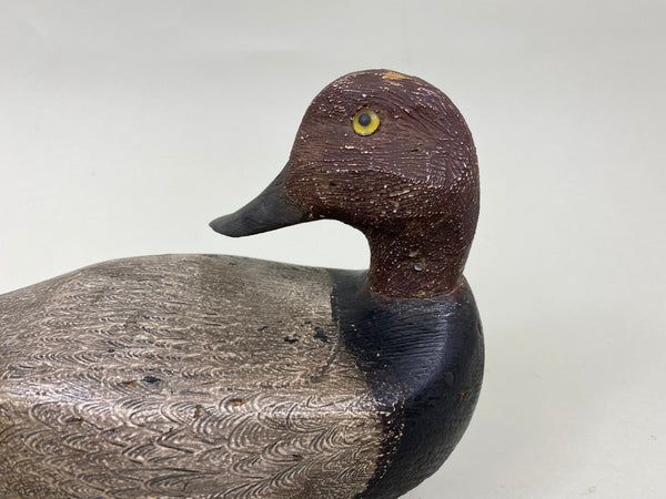 Unknown Wisconsin Redhead Preener, Circa 1930's (#7193)