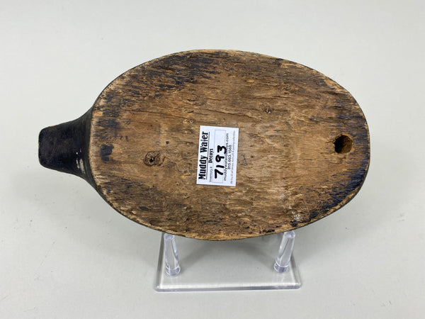 Unknown Wisconsin Redhead Preener, Circa 1930's (#7193)