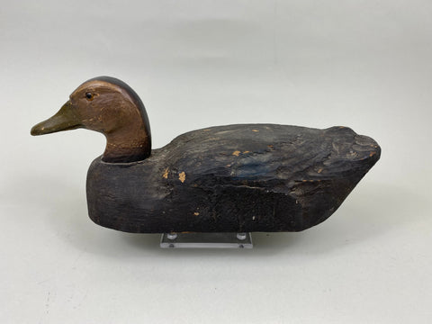Herters Black Duck, Early Cedar Example (#7197)