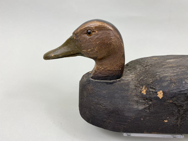Herters Black Duck, Early Cedar Example (#7197)