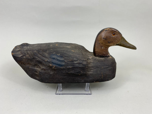 Herters Black Duck, Early Cedar Example (#7197)