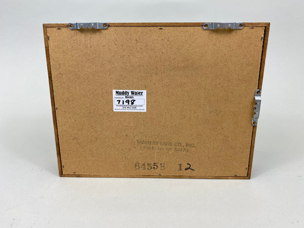 Tannery Lane Co. Shadow Box with various Miniature Bird Carvings (#7198)