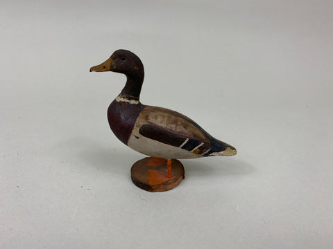 Lacey Miniature Mallard Drake (#7229)