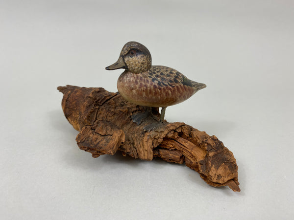 Miniature Wigeon Hen standing on Driftwood (#7230)