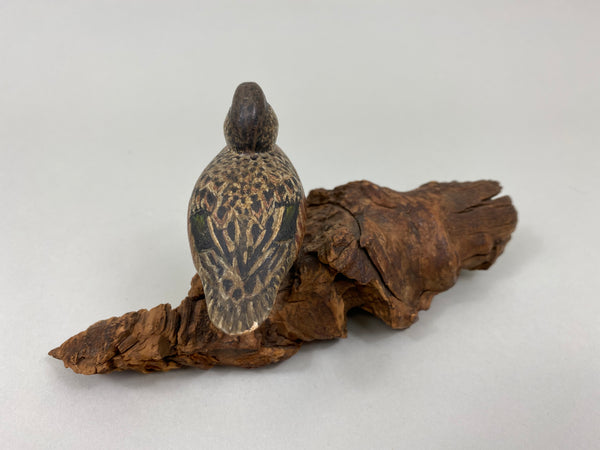 Miniature Wigeon Hen standing on Driftwood (#7230)