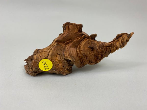 Miniature Wigeon Hen standing on Driftwood (#7230)